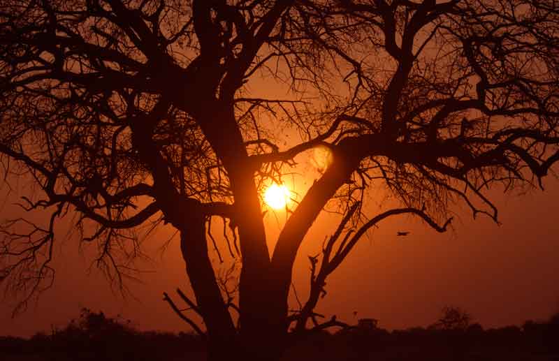 67 - Namibia - parque nacional de Etosha - atardecer